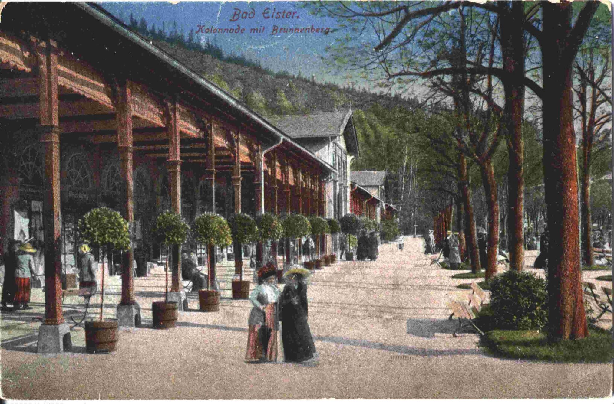 Bad Elster. Vom Walddorf zum Weltbad – Stf. Quelle,Kol.1905 Bad Elster. Vom Walddorf zum Weltbad
