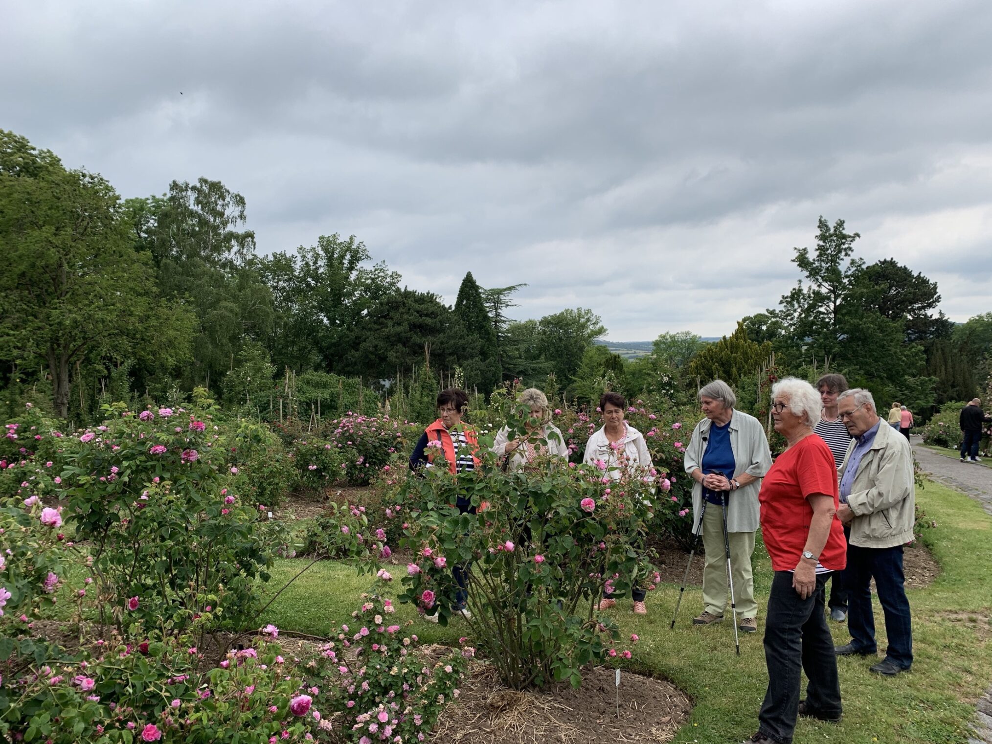 Der Osten - Entdecke, wo du lebst: Im Reich der Blumenkönigin. Das Rosarium Sangerhausen