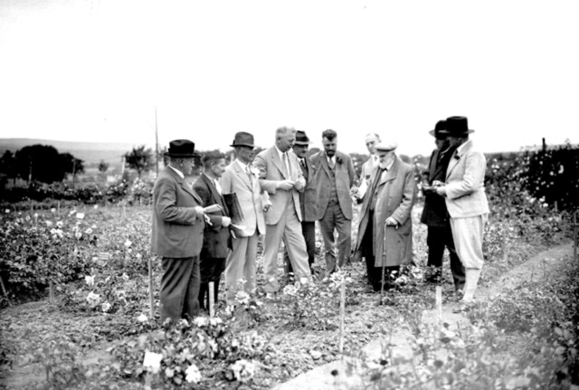 Der Osten - Entdecke, wo du lebst: Im Reich der Blumenkönigin. Das Rosarium Sangerhausen