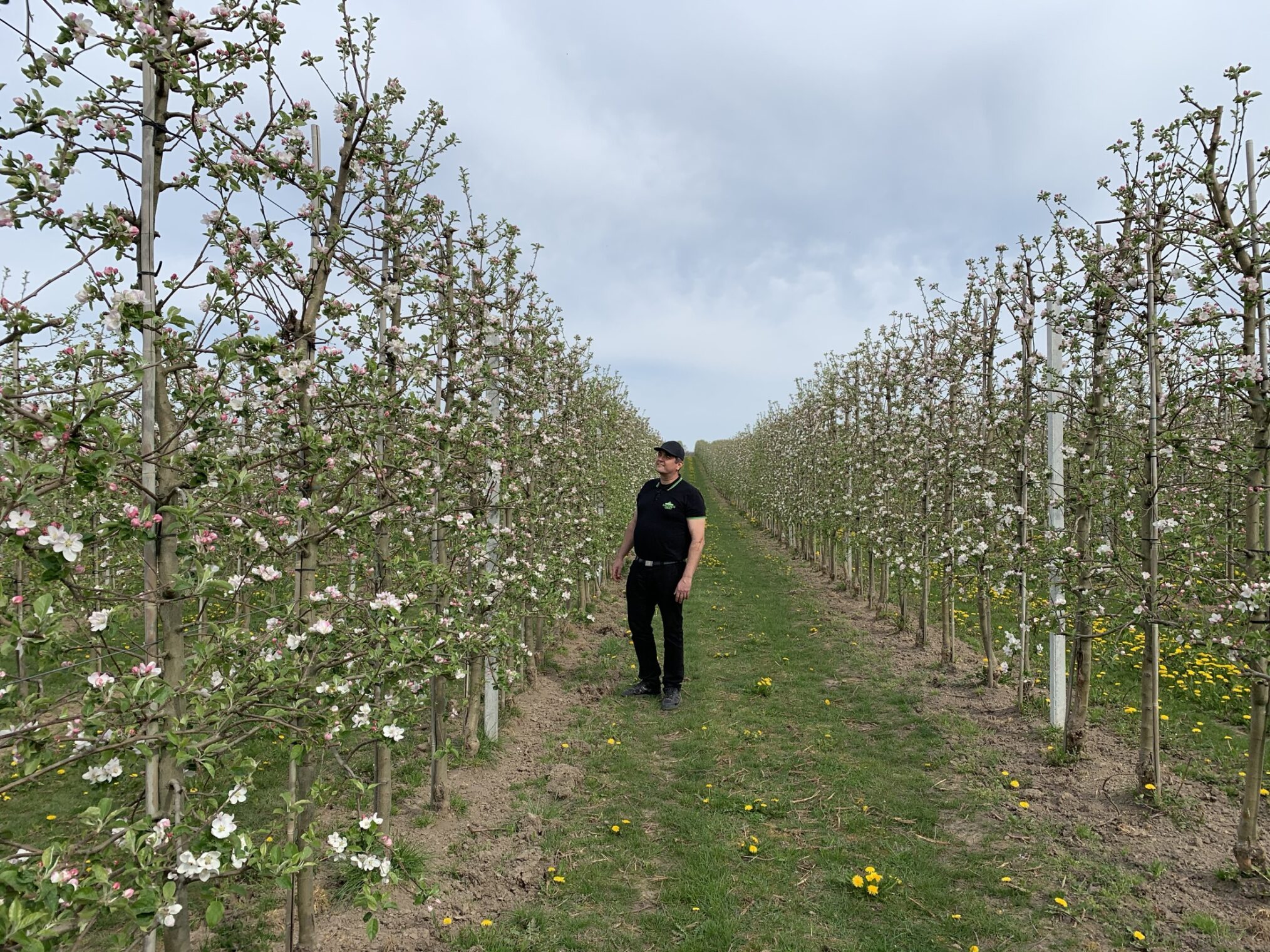 Der Osten - Entdecke wo du lebst: Leben unterm Apfelbaum - Die sächsischen Obstmacher – IMG_1645 Der Osten - Entdecke wo du lebst: Leben unterm Apfelbaum - Die sächsischen Obstmacher