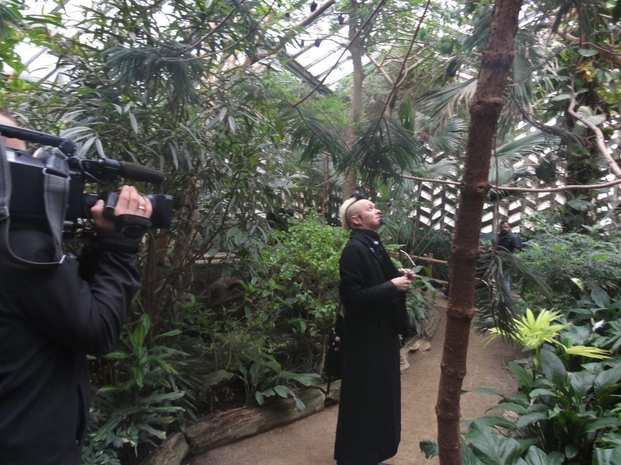 Goths und die Welt: Meine dunkle Seite – Ronny Rabe bei Flugfüchsen im Leipziger Zoo Goths und die Welt: Meine dunkle Seite