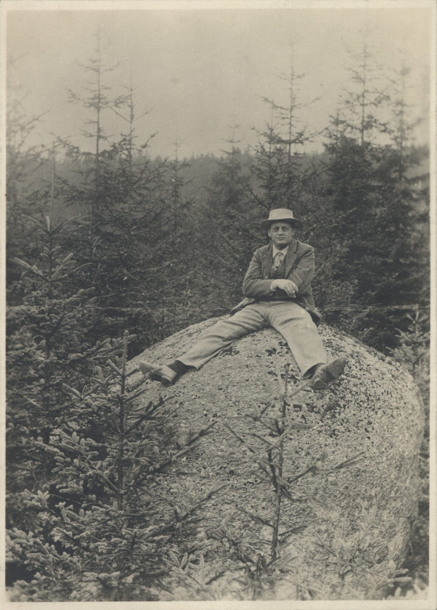 Mann auf Felsblock Waldlandschaft historisch Max Reger - Ein musikalischer Koloss